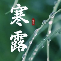 今日寒露 | 露水寒，秋意滿